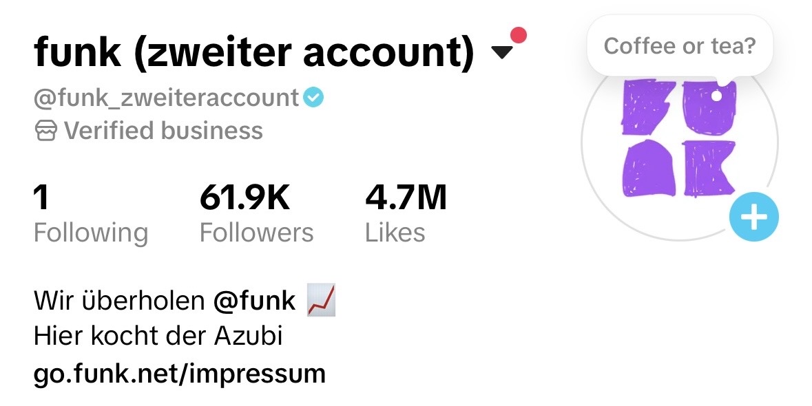 Von Samuel bereitgestellter Screenshot des TikTok-Profils @funk_zweiteraccount